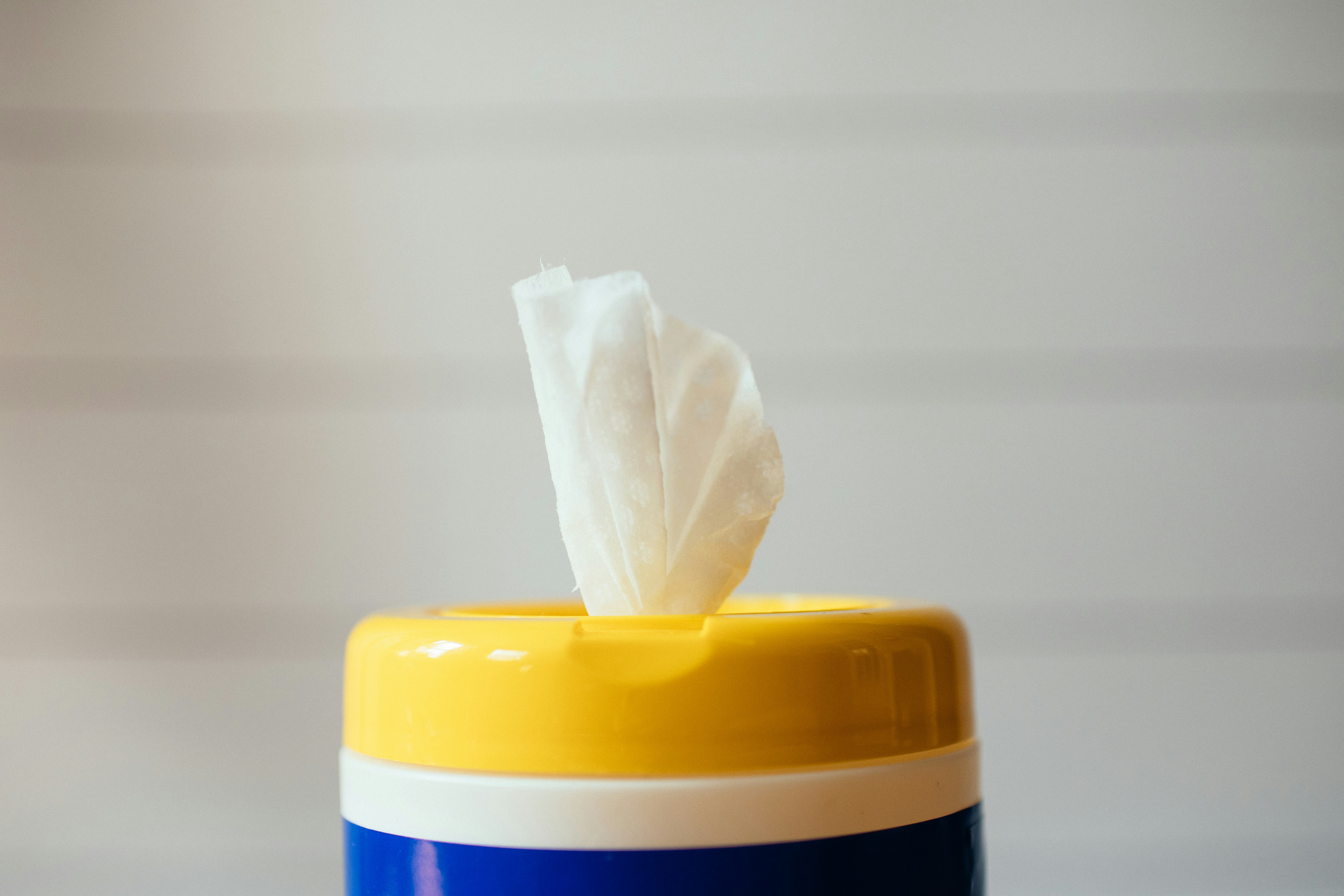 Pet Wet Wipes Manufacturing